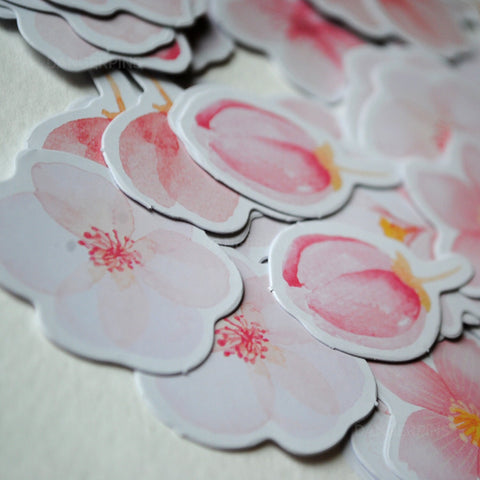 90 Pink watercolor cherry blossom  paper stickers