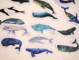 90 small paper Whale stickers