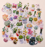 90 small paper succulent houseplant stickers