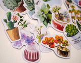 90 small paper succulent houseplant stickers