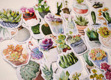 90 small paper succulent houseplant stickers