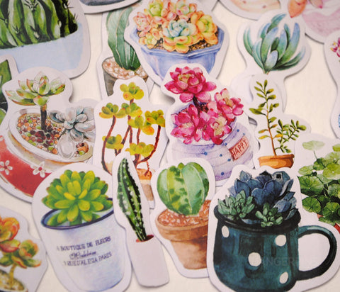 90 small paper succulent houseplant stickers