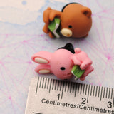 Story time Bunny Bear resin pin set